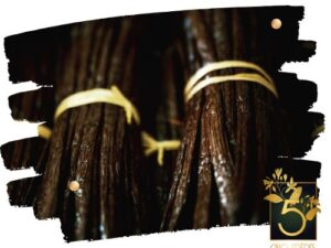 Vanille Gourmet de Madagascar XL