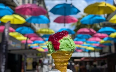 Découvrez Vonacorona Ice Cream à Caudan, Port Louis